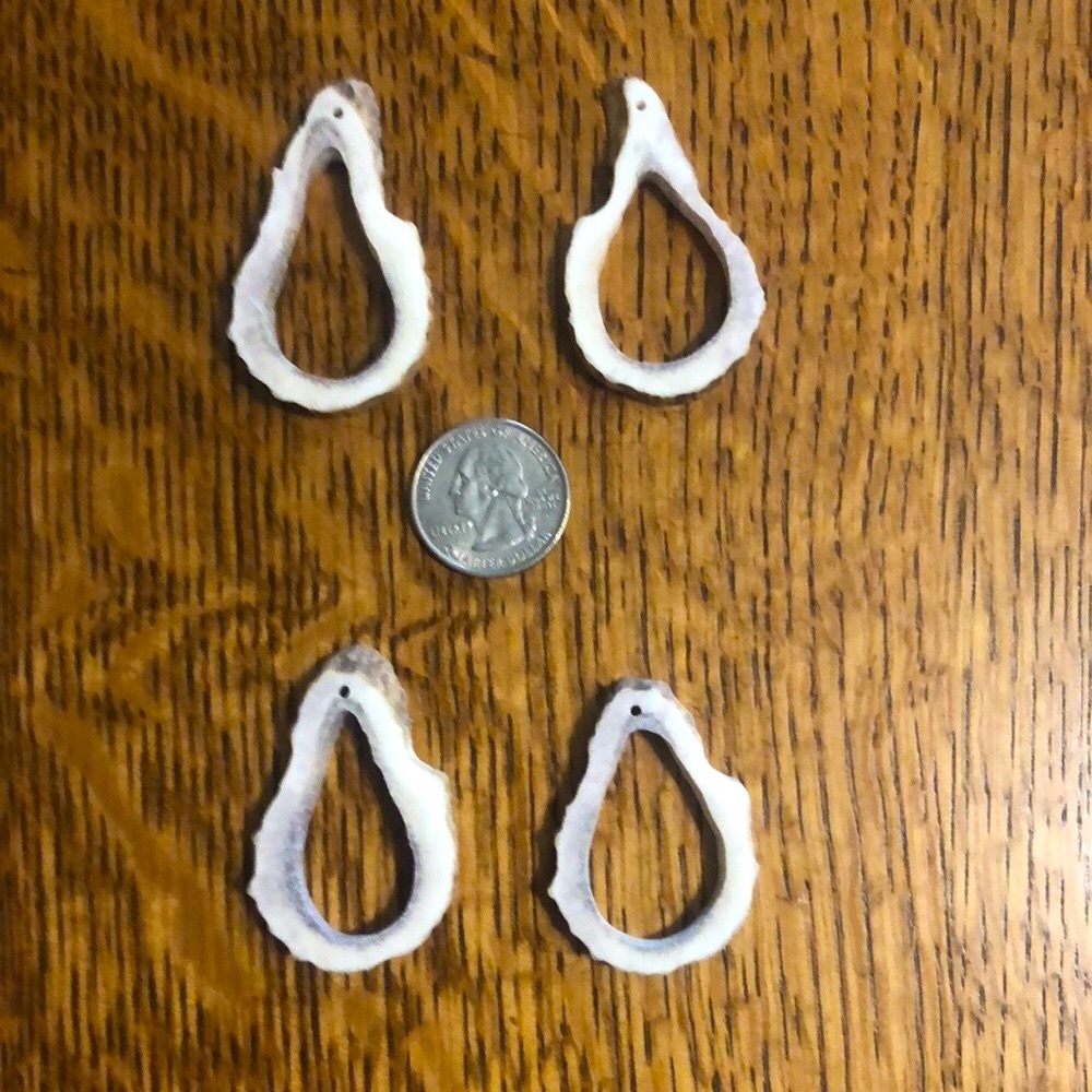 Antler Earrings
